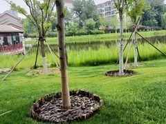 -西海子公园