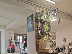 -本無咖啡·BeanWood Coffee