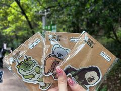 -红山森林动物园