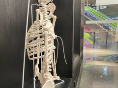 -TOP健身私教工作室(侨香店)