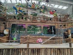 -南宫五洲植物乐园