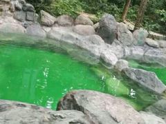 薄荷泡池-金方森林温泉