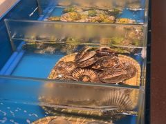 -火舞泰·泰式海鲜火锅餐厅(世纪城店)