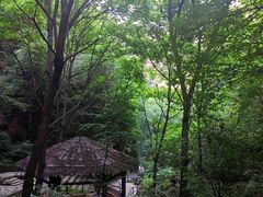 -九龙潭景区