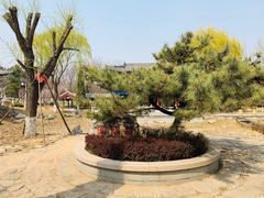 -济南国际园博园