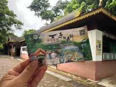 -西双版纳原始森林公园