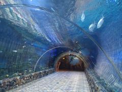 -华夏文旅海洋公园