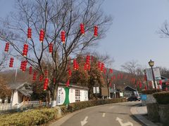 -南京老山国家森林公园