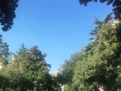 -杭州市陈经纶体育学校