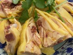 -九斤黄三黄鸡专卖店