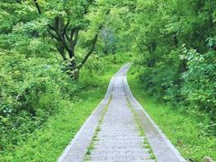 -青龙山国家森林公园