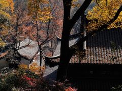 -虎跑公园