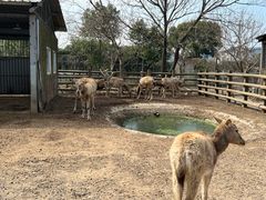 -苏州太湖西山岛开心农场