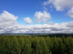 -塞罕坝国家级自然保护区