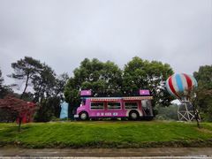 -铁山坪森林公园