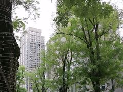 -铁像寺水街