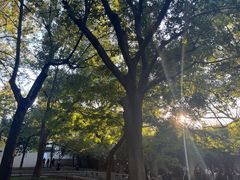 -西园戒幢律寺