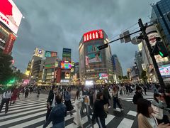 -涩谷区
