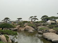 -罗红摄影艺术馆