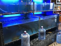 水产区-姜君·千岛湖鱼头馆(浦东大道店)