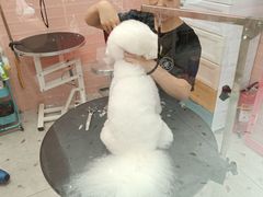 -FAELING PETS美天灵宠物(合生汇店)