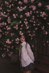 -Y-STUDIO原理