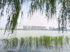-高子水居