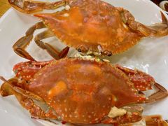 -红灯笼龙凤饭店(宁波老字号店)