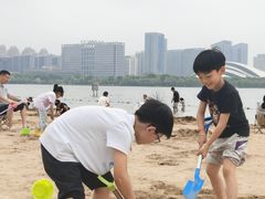 -天鹅湖体育公园