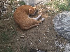 -凡烟外慢生活体验馆