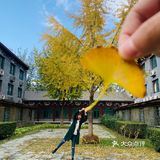 坐火车到杨村站or武清站，再打个车就到了