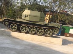 -铁山坪森林公园