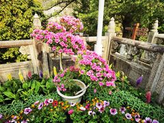 -虞山城墙