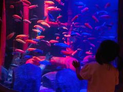 -沈阳海洋探索中心