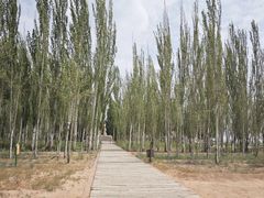 -黄沙古渡原生态旅游区