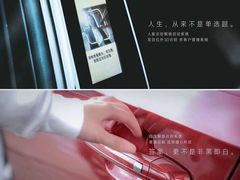 -河南威佳金凯汽车销售服务有限公司