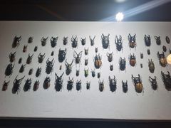 -燕莎友谊商城(亮马桥店)