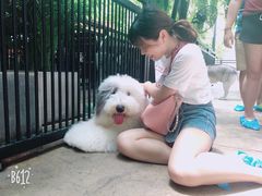 -TrueLove @ Neverland (Husky Cafe)
