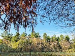 -西溪国家湿地公园