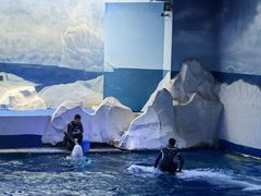 -秦皇岛乐岛海洋王国