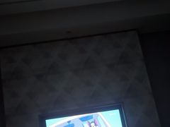 -圣爵菲斯大酒店(长沙世界之窗店)