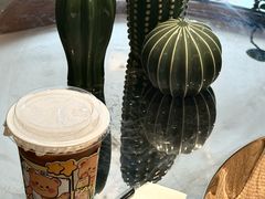 -YOLO COFFEE悠乐咖啡