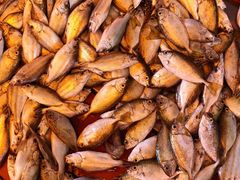 -胜海大排档·海鲜·黄鳝饭(十年老店)