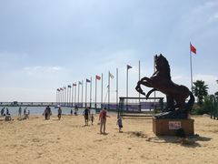 -碧海金沙