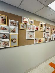 -杭州贝瑞斯美华妇儿医院·早孕·产检·儿科