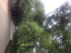 iphone_upload_pic-大明幻境第一城