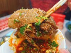 -渝大龙重庆火锅(温泉月亮湾店)