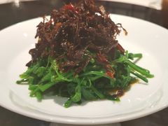 昭通椒丝油鸡枞麦瓜尖-泓0871臻选云南菜·味庄