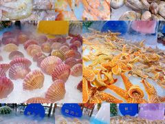 -星海汇海鲜烤肉火锅自助(二七广场百年德化店)