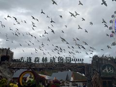 -大连森林动物园